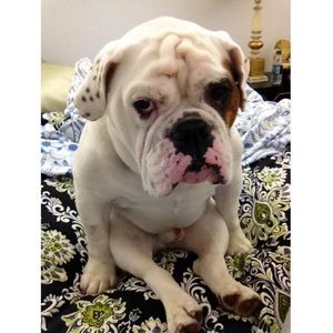 Meet your Posher, Reed